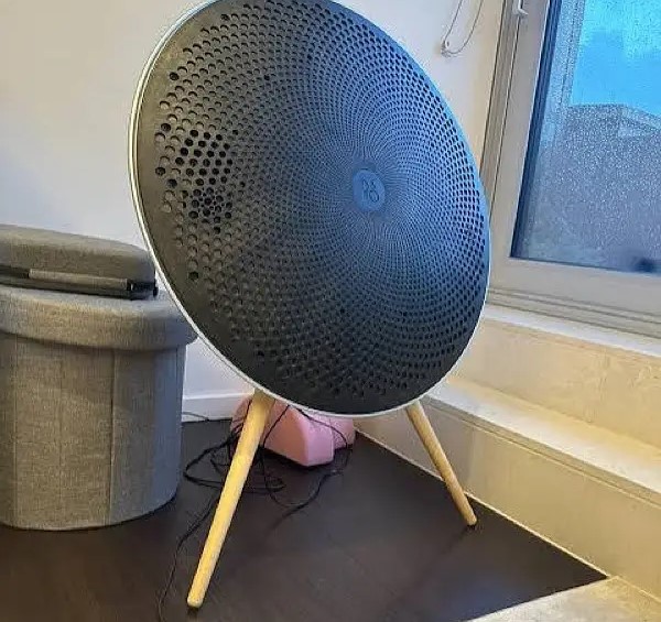 Bang And Olufsen A9 Premium Speaker System