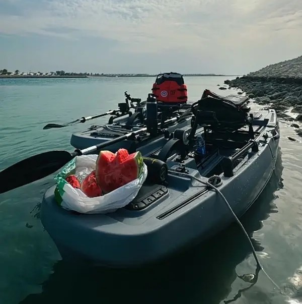 2 Kayaks + Trailer
