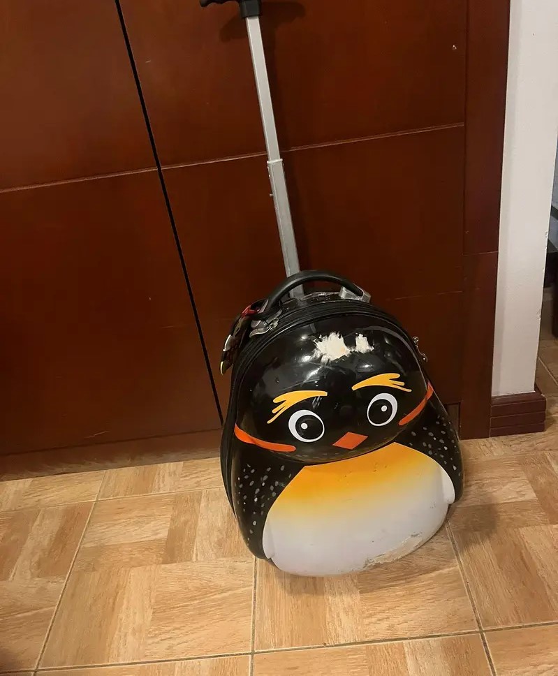 Kids Trolley